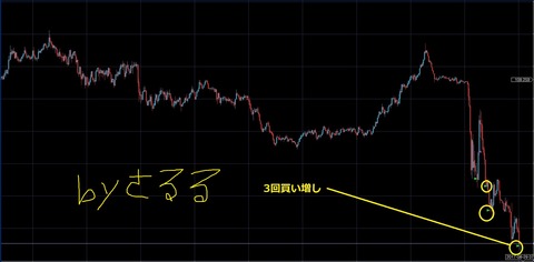 画像2-3