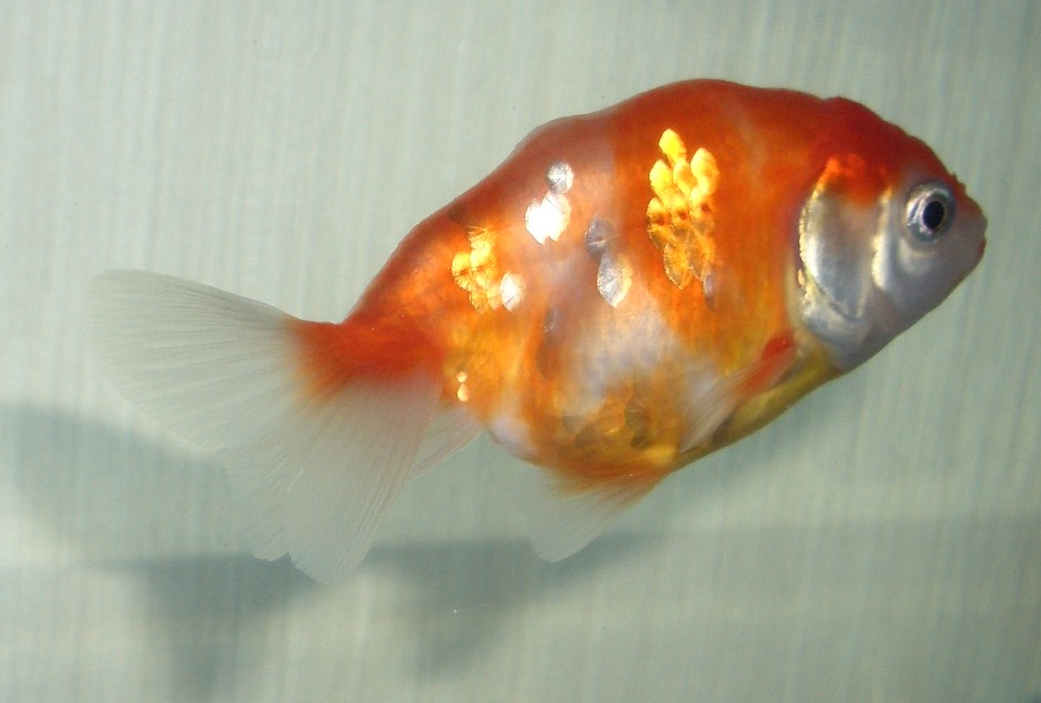 CIMG0582
