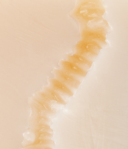 SH-004_01