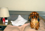 Hotel3