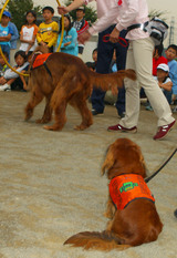 Jun&Coco