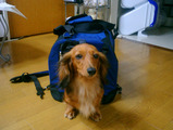 katori