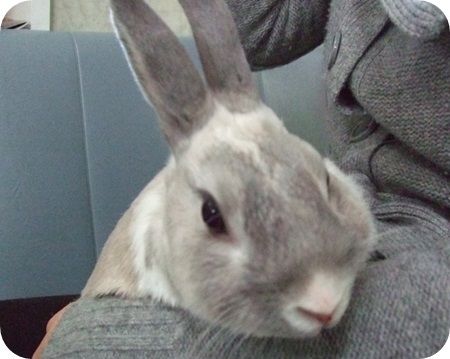 まる思い出18