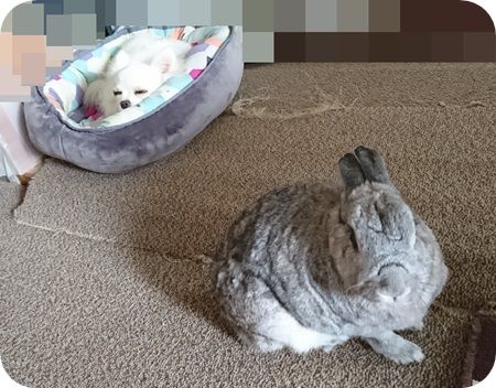 りりとこころ29
