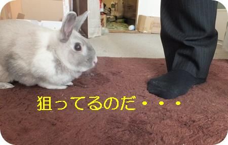 ¤Þ¤ë¤È¥Ñ¥Ñ 004