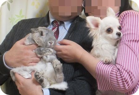 年賀状ボツ6