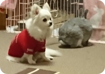りりとこころ24