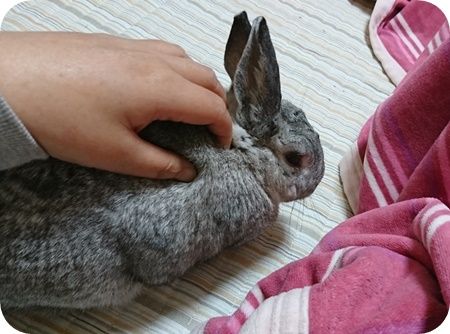 りり234