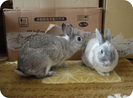 �ޤ�Ȥ�ꣴ