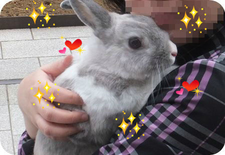 まる抱っこ