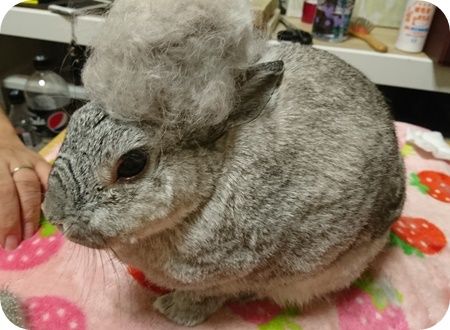 りり314