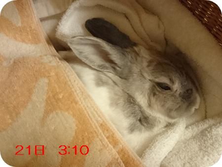 まる最後の日12