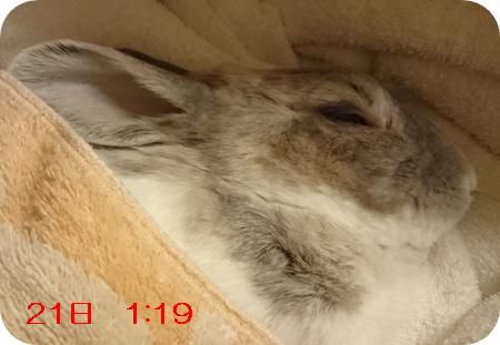 まる最後の日9