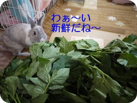 �����գ�