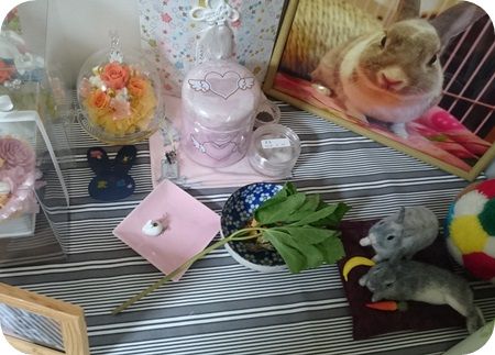 あしたば4
