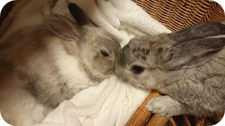 まる病院7