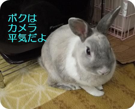 �ޤ룱