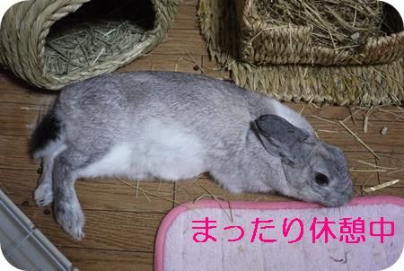 �ٷƣ�