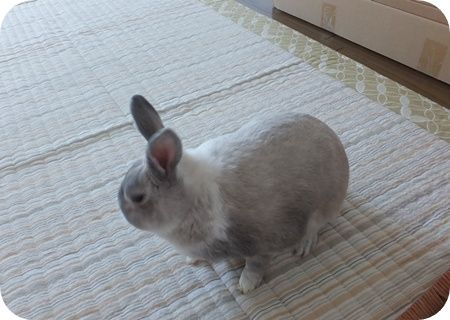 新居引っ越し 006