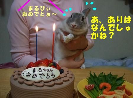 まる2