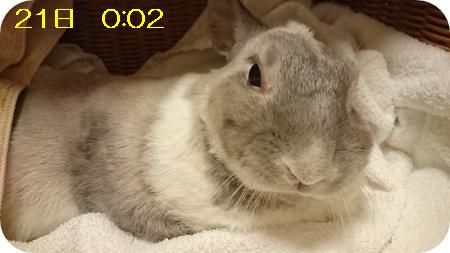 まる最後の日7