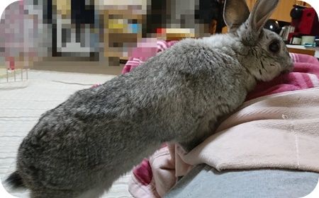 りり233