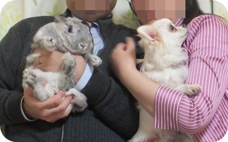年賀状ボツ1