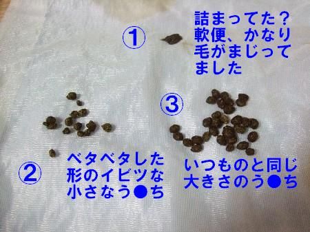 うんち7