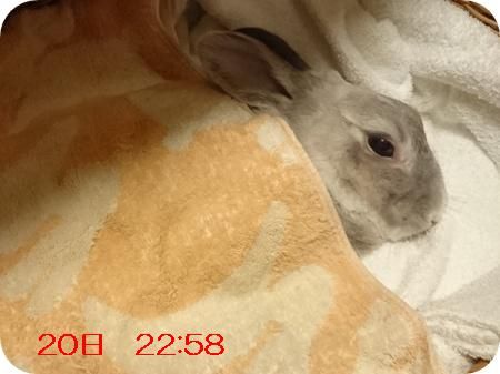 まる最後の日4