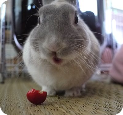 まる思い出11