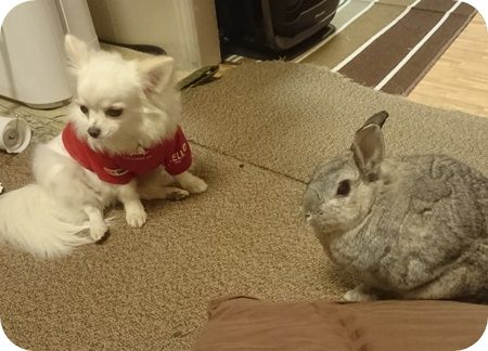りりとこころ20