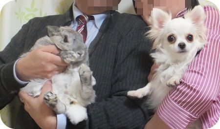 年賀状ボツ5