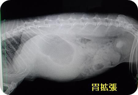 まる病院3