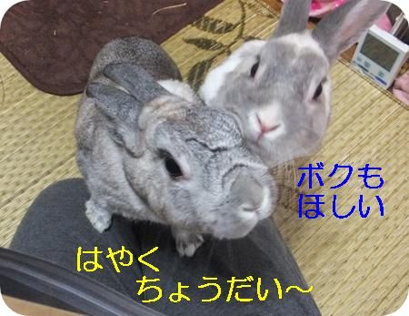 ¤ª¤ä¤Ä¥¿¥¤¥à 002