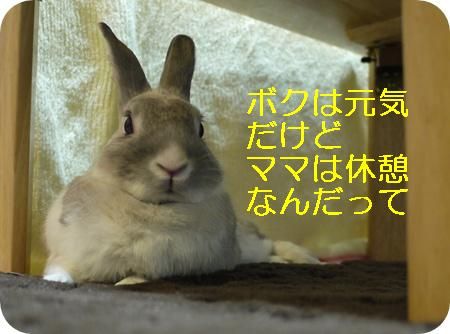 �ٷƣ�