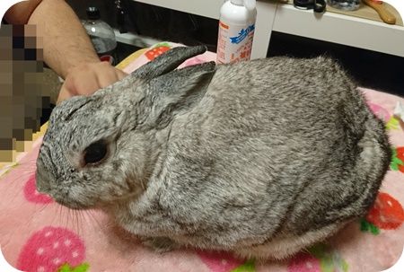りり313