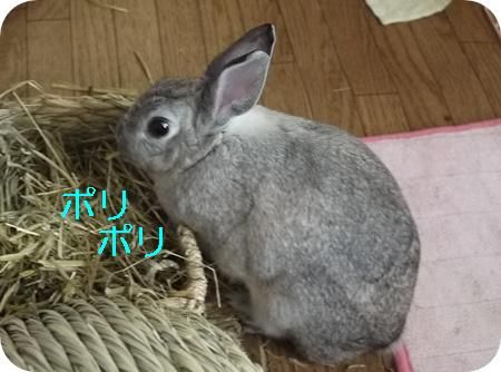 ��ꣵ