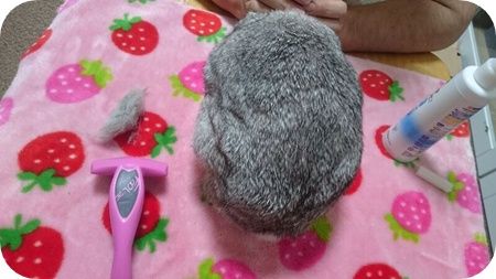 りり33