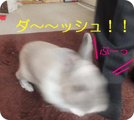 ¤Þ¤ë¤È¥Ñ¥Ñ 002