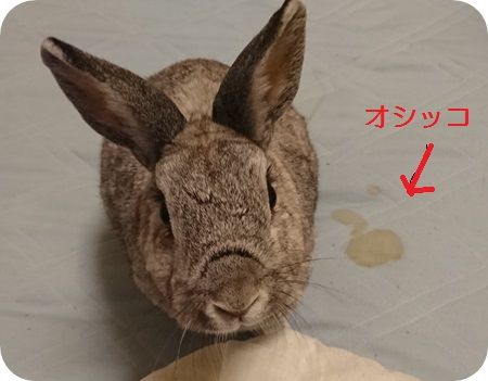 りり168