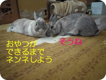 ���ɤ�����