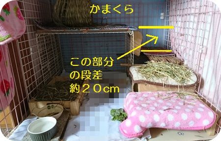 りり172