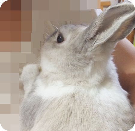 まる抱っこ3