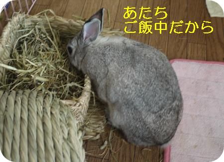 ��ꣳ
