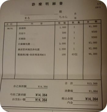 病院6月10