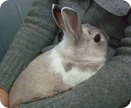 まる抱っこ1