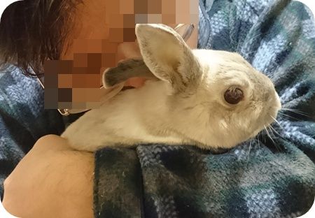 まる思い出5