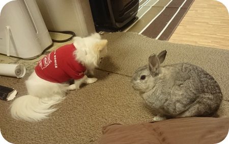 りりとこころ22
