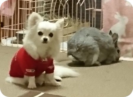 りりとこころ23