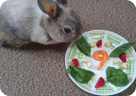 まる9